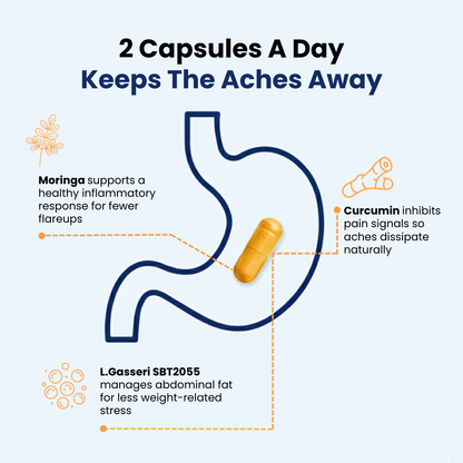 Provitalize |Best Natural Menopause Probiotic